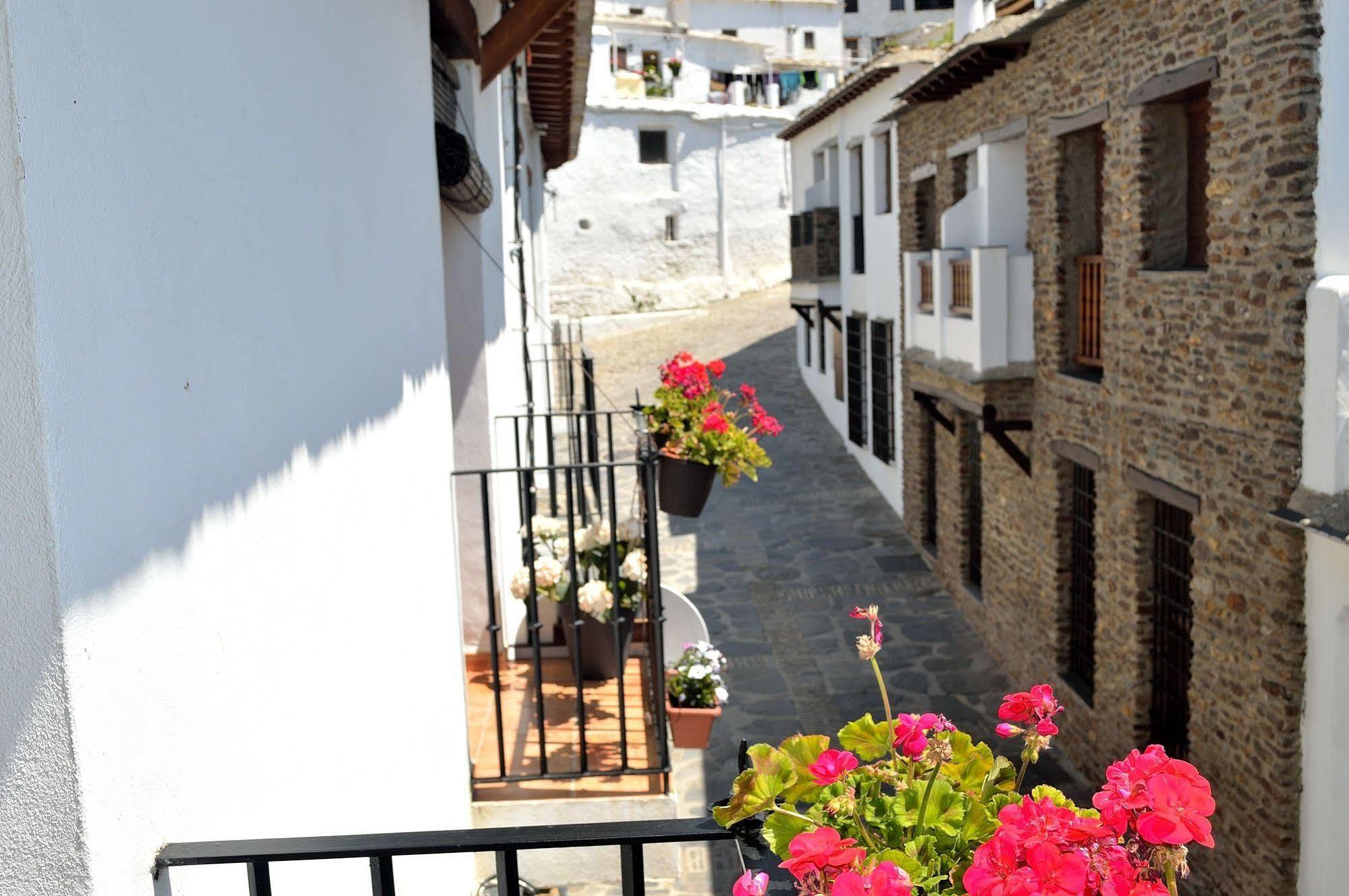 Hotel Rural Alfajia De Antonio Capileira Buitenkant foto